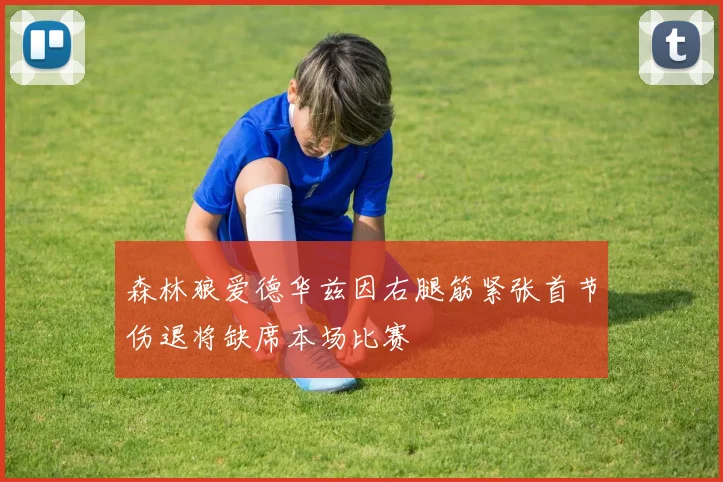 森林狼爱德华兹因右腿筋紧张首节伤退将缺席本场比赛