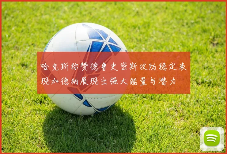 哈克斯称赞德鲁史密斯攻防稳定表现加德纳展现出强大能量与潜力