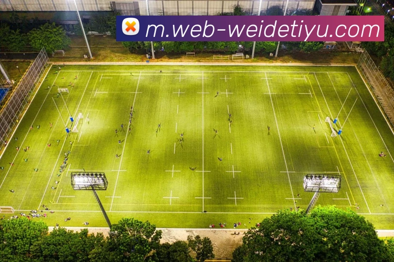 伟德体育平台生态图