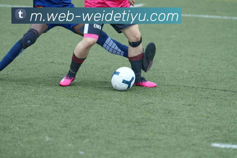 数据防护可视化